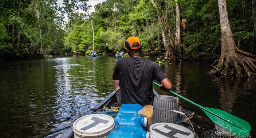 From the back of a canoe, you can see the people in front paddling. The boat is on calm water with trees lining the shore. 